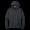Heavy Blend  Hooded Sweatshirt Thumbnail