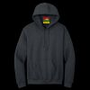 Heavy Blend  Hooded Sweatshirt Thumbnail