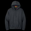 Heavy Blend  Hooded Sweatshirt Thumbnail