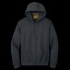 Heavy Blend  Hooded Sweatshirt Thumbnail