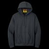 Heavy Blend  Hooded Sweatshirt Thumbnail