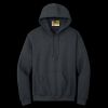 Heavy Blend  Hooded Sweatshirt Thumbnail