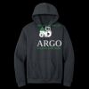 Heavy Blend  Hooded Sweatshirt Thumbnail