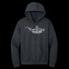 Heavy Blend  Hooded Sweatshirt Thumbnail